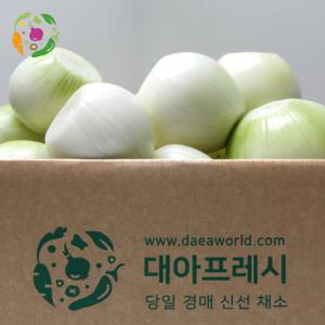 대아프레시 야채 아저씨네 깨끗하게 손질된 깐양파 특대사이즈 10kg 25년 수확한 햇양파