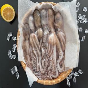 당일조업 후 바로 급냉한 활 낙지 1kg 6미 950~1000g 내외 낙지볶음 급냉낙지 연포탕 탕탕이
