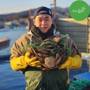 최고다농수산 싱싱한 참가리비/ 국산 참가리비 (대특대 7~10미내외) 1kg