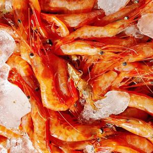 국내산 제철음식 생물 홍새우1kg 소사 130미~180미내외 새우젓갈 새우회 새우구이 새우장