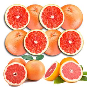자몽 레드자몽 레드루비자몽 루비자몽 자몽청 그레이프프루트 grapefruit 중사이즈 10개