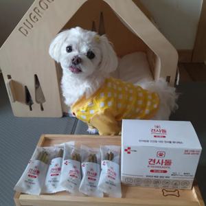 견사돌 유니버스 황태맛 10p 관절 눈 구강 장 심장 피부 털 치석제거 올인원 멀티기능성 강아지영양제