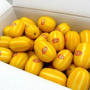 성주참외 소과 10kg 못난이 꼬마 꿀참외 판매 진맛깔