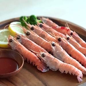 딱새우 딱새우회 횟감용 급냉 150g (10미 15미 20미 25미 사이즈 다양함) / 클수록 더 맛있어요