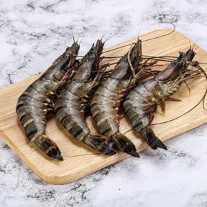 급냉 블랙타이거 새우  500g 캠핑구이 새우소금구이 대왕새우 왕새우