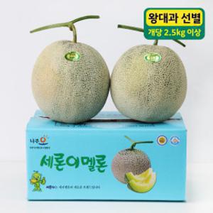 (신선집중) 10%/ 고당도 메론 멜론 세지농협 세지메론 정품 왕대과 5kg(2수) / GAP 인증