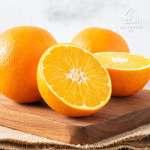 [웰굿] 프리미엄 네이블 오렌지 3kg(16과내외,개당180g내외)