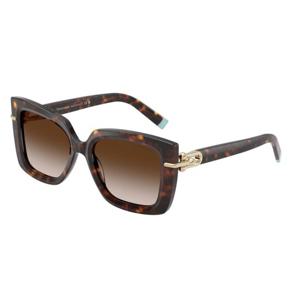 티파니 앤 컴퍼니TF4199 80153B 여성용 선글라스