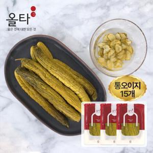 [올타] 꼬들통오이지 570g 3팩 (팩당 오이 5개, 총 15개입)