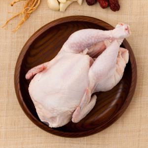 [작심밀도]국내산 냉장 삼계닭 550g x 4마리