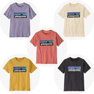 [파타고니아코리아] 62148Q5 아동 키즈 P-6 로고 티셔츠 Kids P-6 Logo T-Shirt PG