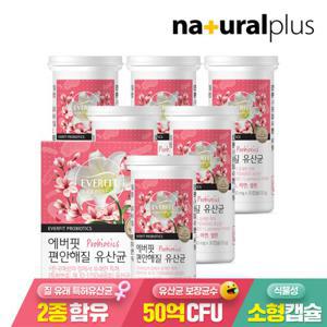 에버핏 편안해질 여성 질유래 유산균 6통/ 여성유산균