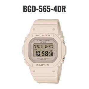 [BABY-G][베이비지][클래식 스퀘어]BGD-565-4DR YDP
