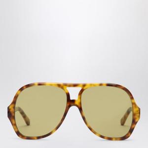 끌로에 선글라스 CHC25SEK0289 Brown