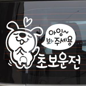 아잉~봐주세용 초보운전 피피 / 초보운전 자동차스티커