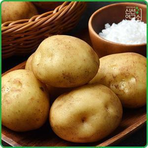 25년 포근포근 수미 감자 5kg (특)