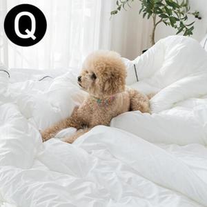 해피니 테라피 M2 호텔 차렵 이불 퀸 Q (화이트)