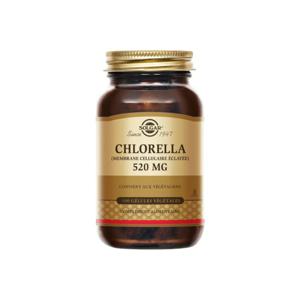 솔가 클로렐라 520mg 100 식물성 캡슐