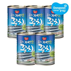 [동원] 자연산 꽁치 400gx5캔