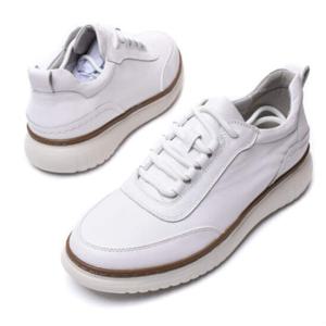 [탠디] 남성 스니커즈 세미정장 Q18018 WHITE 3cm