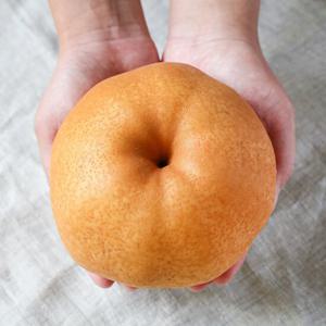 [산지직송] 달콤한 나주배 가정용 3kg (4-7과)