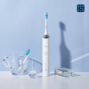 덴탈픽 초음파 전동 칫솔 DP-5001