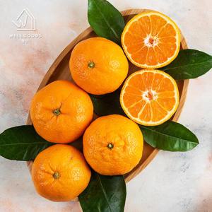[웰굿] 프리미엄 미국산 달콤한 만다린 귤 5kg(61-75과)