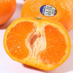 [자연속애] 썬키스트 고당도 만다린 2kg