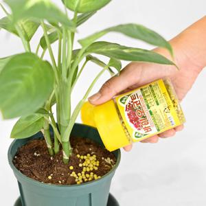 마이플랜트 화분 화초 식물영양제 바이오코트 130g
