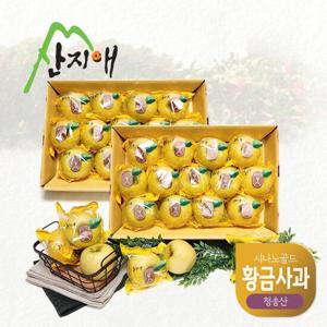 산지애 황금 사과 시나노골드 6kg (3kg*2박스)
