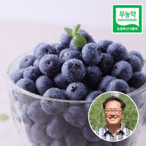 [맛딜]국내산 무농약 블루베리 생과(대) 2kg/500gx4
