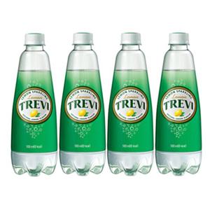 트레비 레몬 500ml 20펫