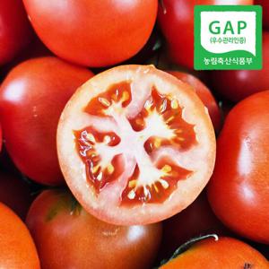 [GAP인증] 진주직송 찰기 가득 완숙 찰 토마토 5kg(25-32과내외)