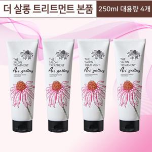 아트갤러리 트리트먼트 매니아(250ml*4)
