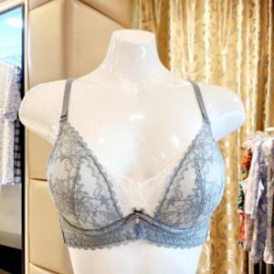 비너스 VBR1804A AB컵 큐티 레이스 몰드 보정브라