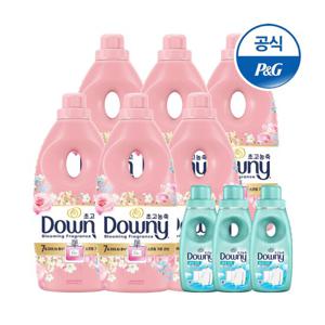 다우니 초고농축 섬유유연제 향수컬렉션 스프링가든1Lx6 +200ml 3개증정