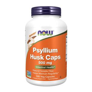 나우푸드  차전자피  실리엄허스크  가루  500mg  500캡슐