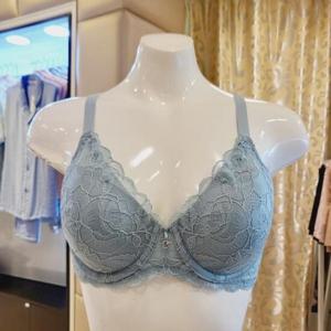 비너스 VBRG617DE D컵 E컵 레이스 몰드 보정브라