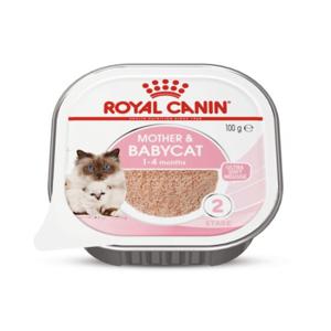 로얄캐닌 마더 앤 베이비캣 울트라 소프트 무스 100g x 24개