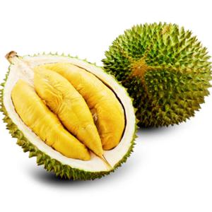 태국산 생 두리안 2수(1수당 1.3kg내외)