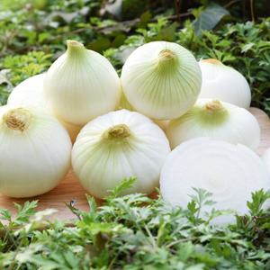 [팔도농장] 달큰한 무안 햇 양파(중) 3kg