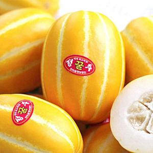 [농부마음] 선별출고 고당도 성주 꿀 참외 10kg (31-50과)