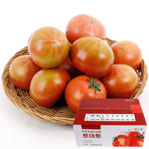 [과일예찬] 맛있는 완숙 토마토 5kg(1-2번과)