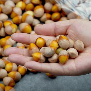 깐은행 1kg(대)x3