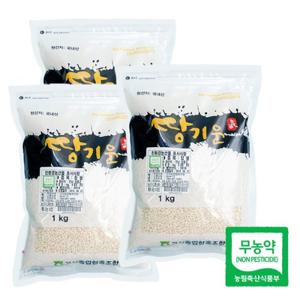 [고산농협] 친환경 땅기운 찹쌀 1kgx3팩(3kg)