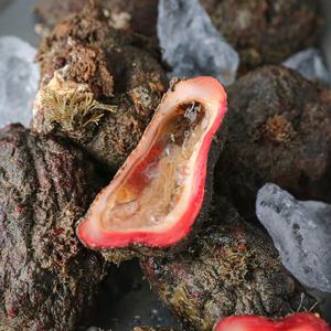 [통영직송] 자연산 돌멍게 1kg (6~8미)