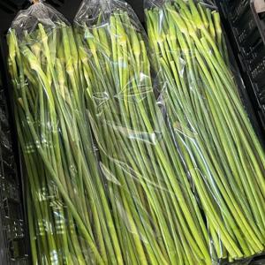 국내산 남해 해풍맞은 마늘쫑 500g 손질된 마늘종 제철 봄나물 건강식 남해마늘 장아찌