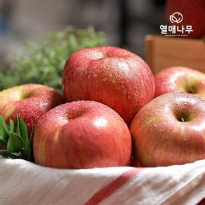 [열매나무] 당도선별 사과 3kg 가정용/중과/10-15과
