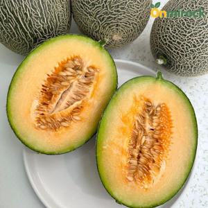 온미락 국내산 고당도 그린 하미과 멜론 5kg(4~6과) 프리미엄 곡성 메론 당일수확