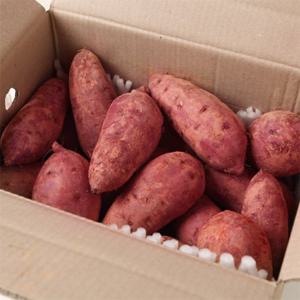 해남 황토 꿀밤 고구마 5kg 한입(20-50g미만)